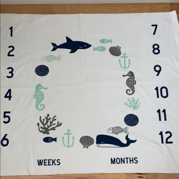 Other - Baby milestone blanket